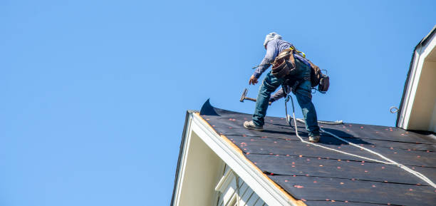 Best Roof Gutter Cleaning  in Pine Lawn, MO